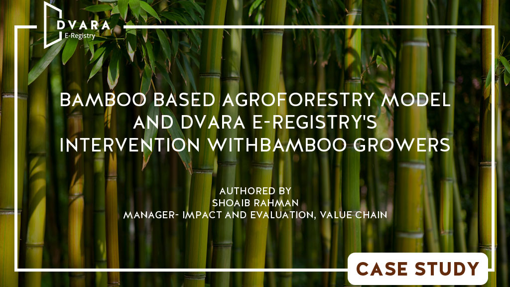 Bamboo Based Agroforestry Model and Dvara E-Registry’s Intervention With Bamboo Growers